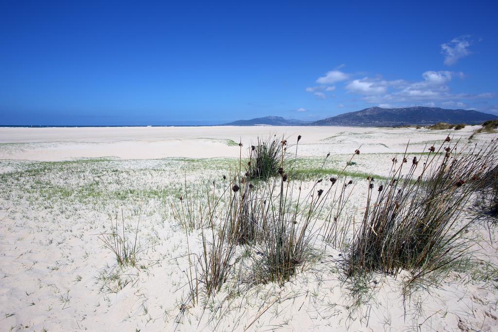 Blue Fin Tarifa Apartment Luaran gambar